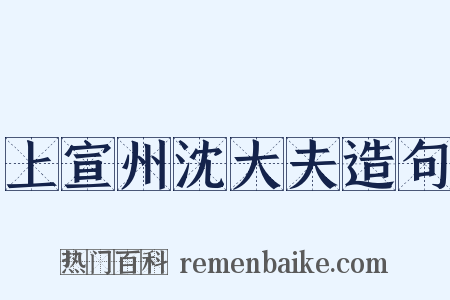 上宣州沈大夫造句是什么意思的图片